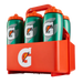 Gatorade Bottle Carry Case (Holds 6 1L Bottles)